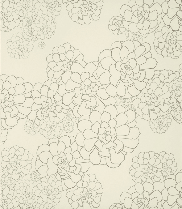 Обои Paint and Paper Library Tresco Aeonium Wattle 0393AEWATTL